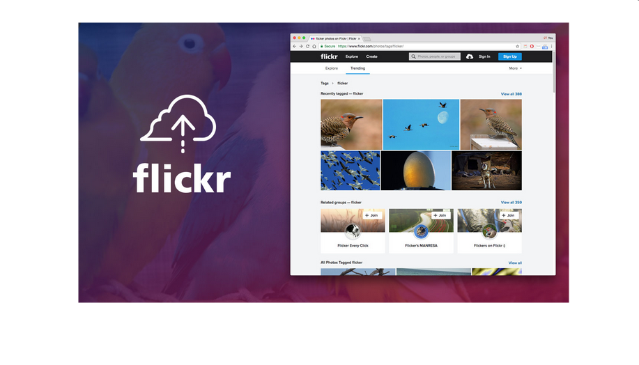 How to Sign Up for a Flickr Account