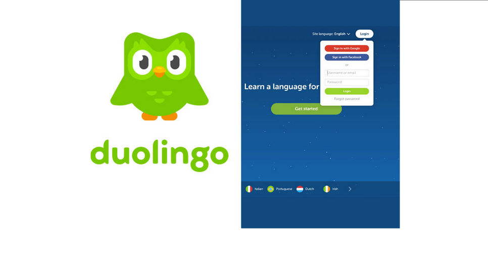 Log in Duolingo