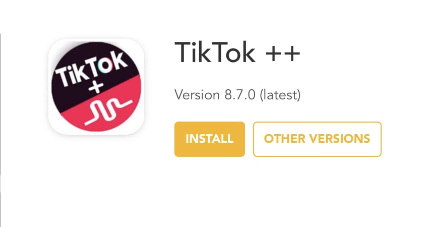 TikTok Plus Plus on iPhone